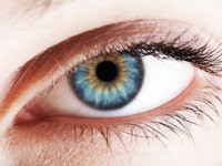 Introduction To The Eye